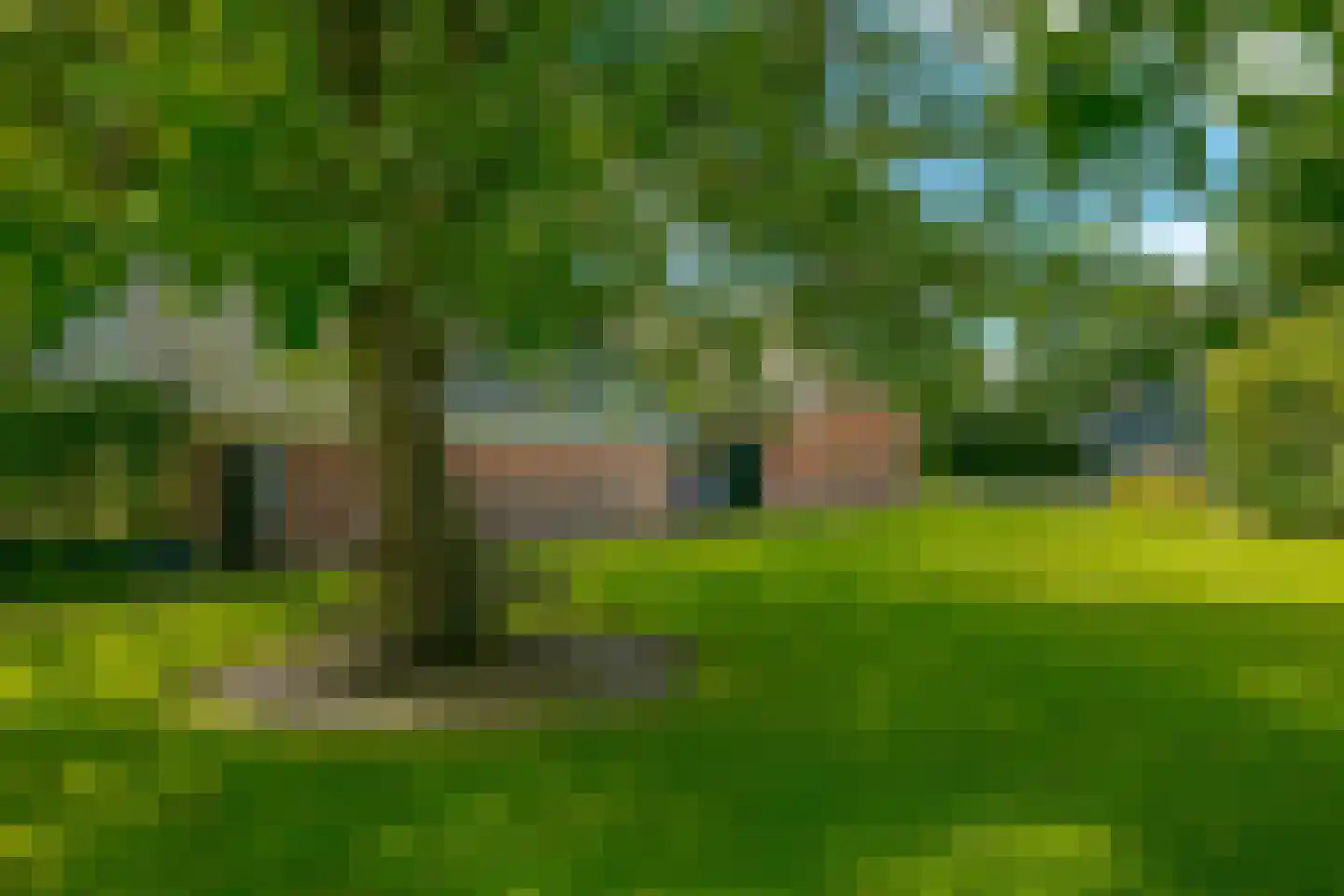 Middenweg 1 Boerakker thumbnail 73