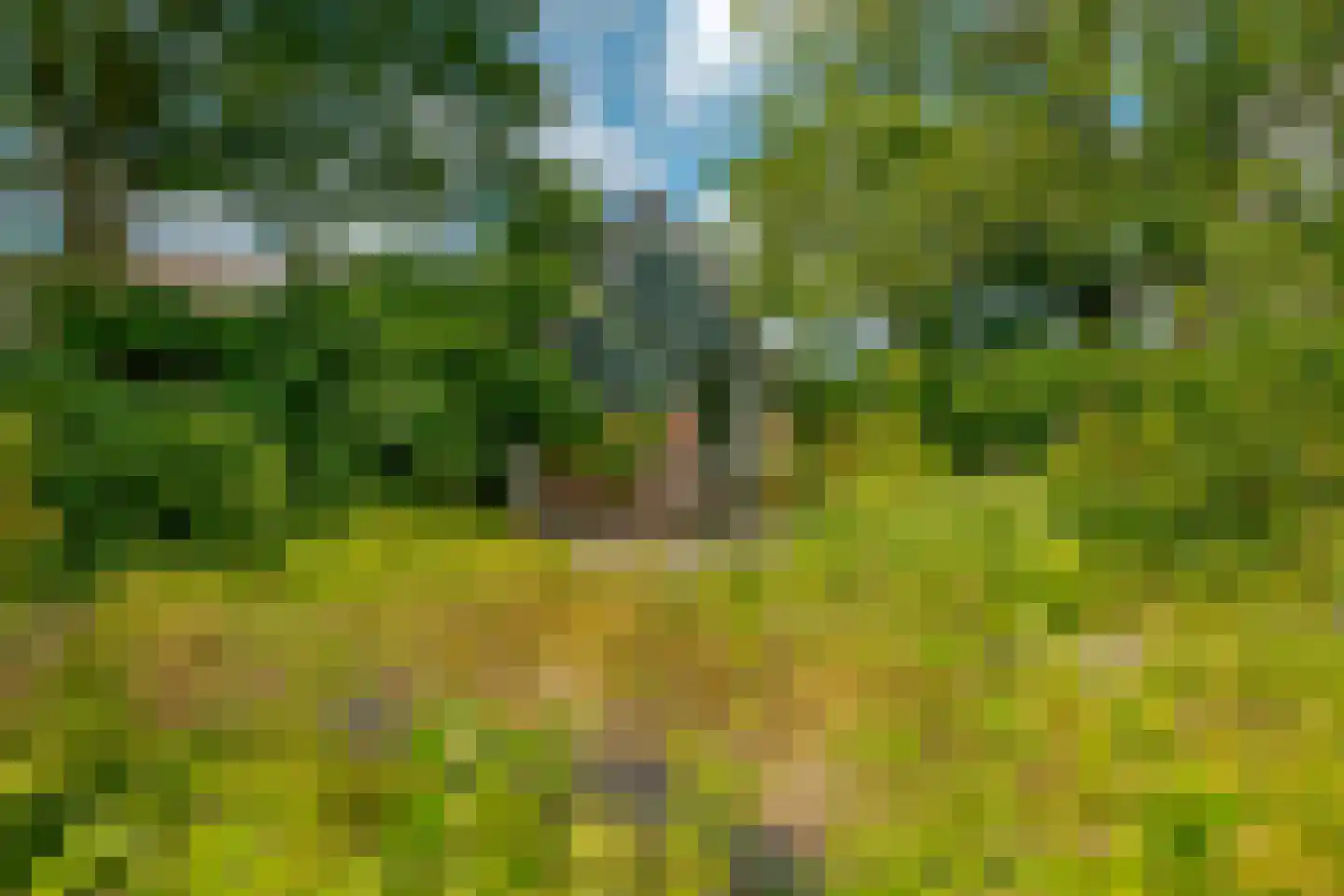 Middenweg 1 Boerakker thumbnail 76