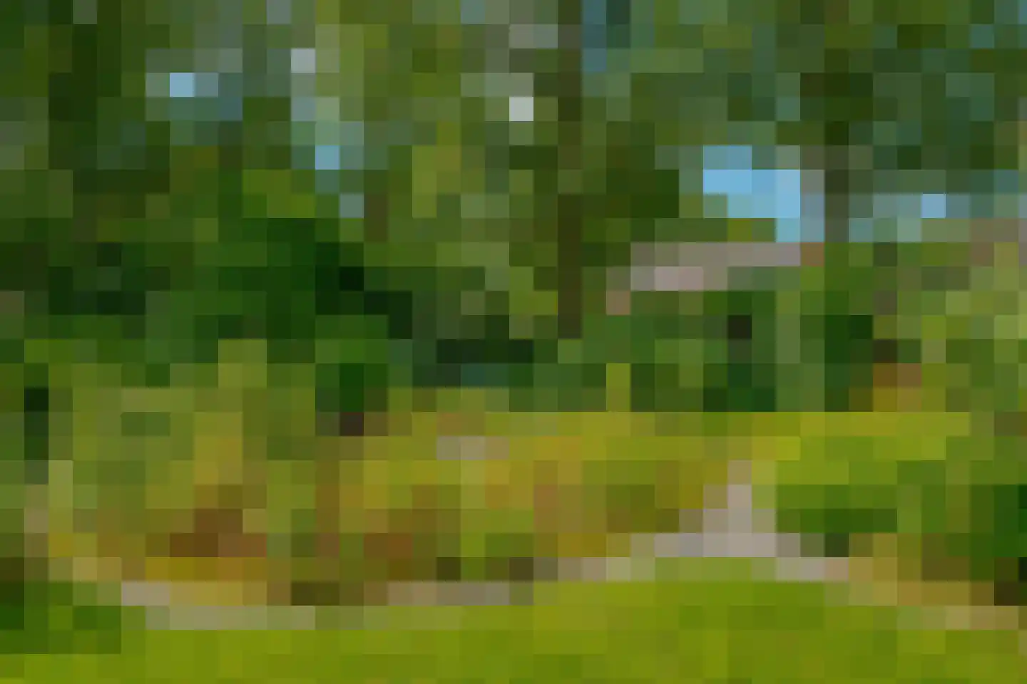 Middenweg 1 Boerakker thumbnail 77