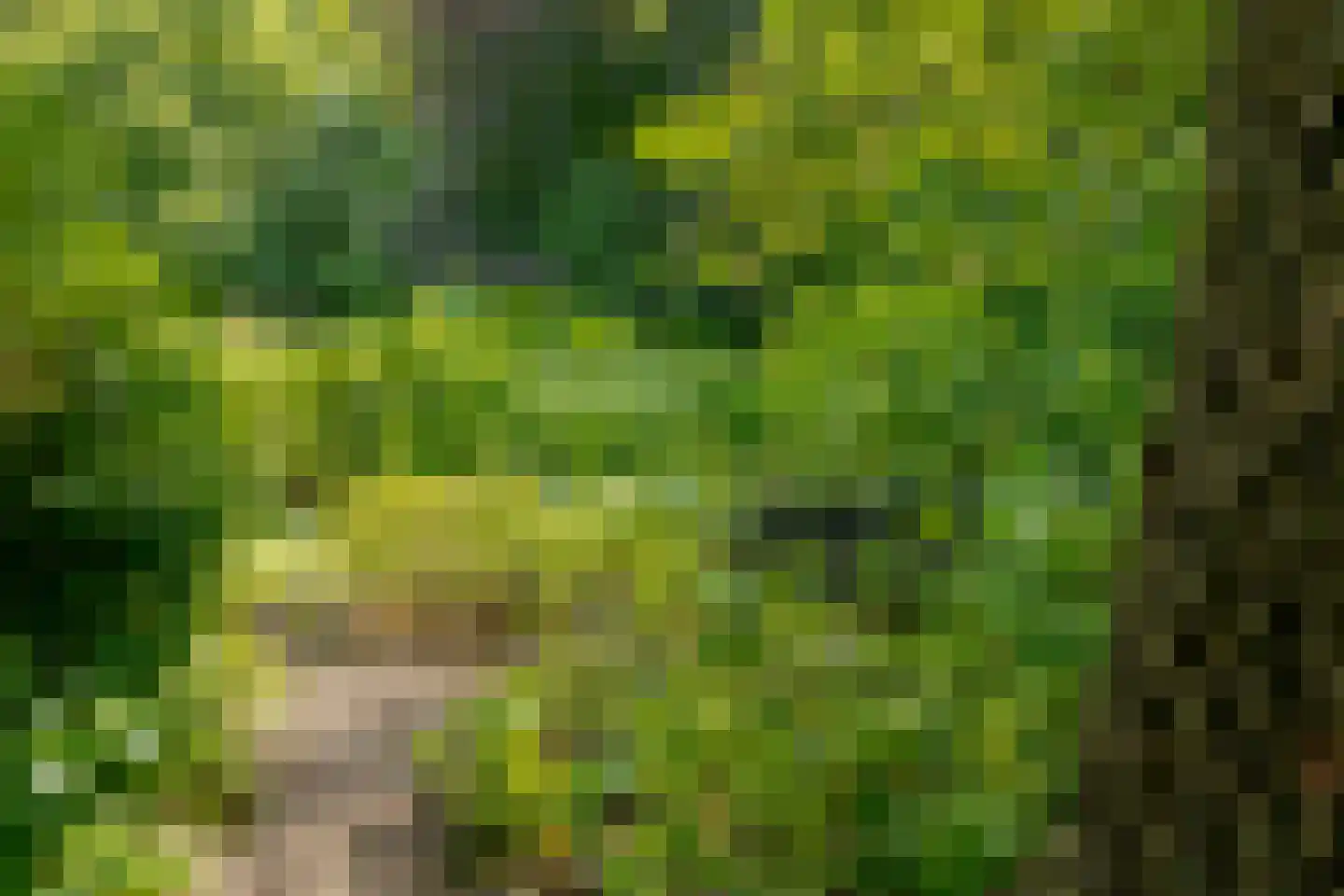 Middenweg 1 Boerakker thumbnail 78