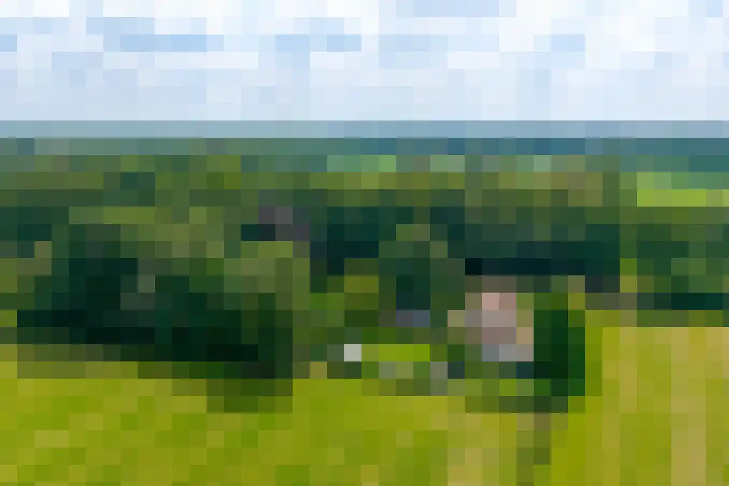 Middenweg 1 Boerakker thumbnail 8