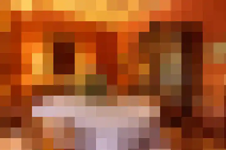 Middenweg 1 Epse thumbnail 21