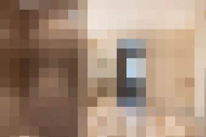 Middenweg 1 Epse thumbnail 34