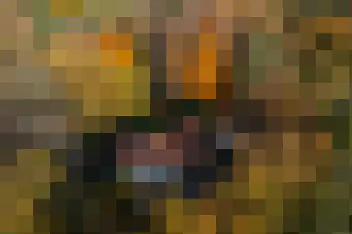 Middenweg 1 Epse thumbnail 4