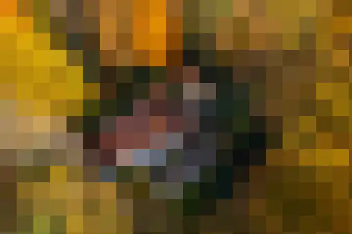 Middenweg 1 Epse thumbnail 65