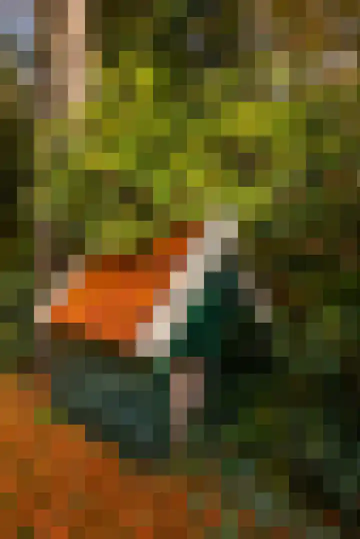 Middenweg 1 Epse thumbnail 78
