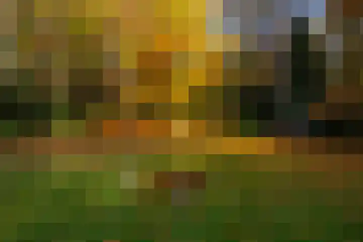 Middenweg 1 Epse thumbnail 81