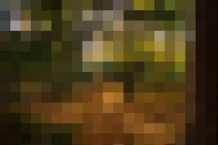 Middenweg 1 Epse thumbnail 86