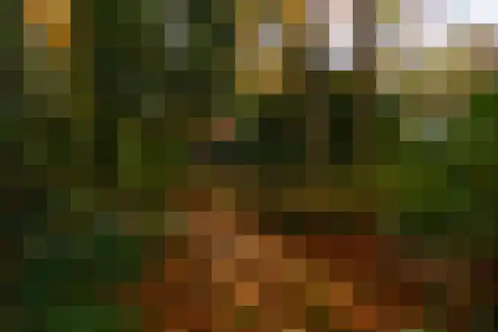 Middenweg 1 Epse thumbnail 89