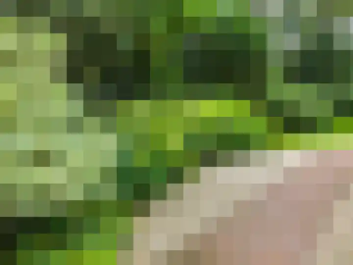 Middenweg 1 Epse thumbnail 99