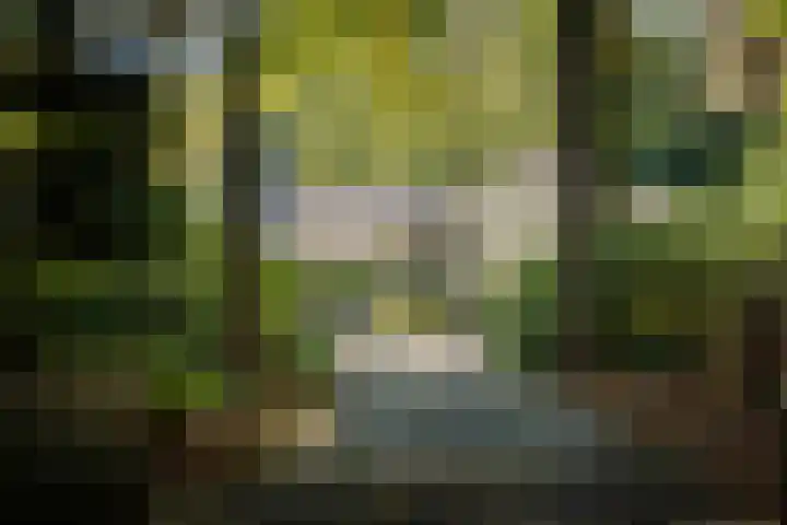 Middenweg 10 Epse thumbnail 12