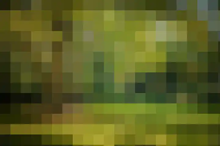 Middenweg 10 Epse thumbnail 15