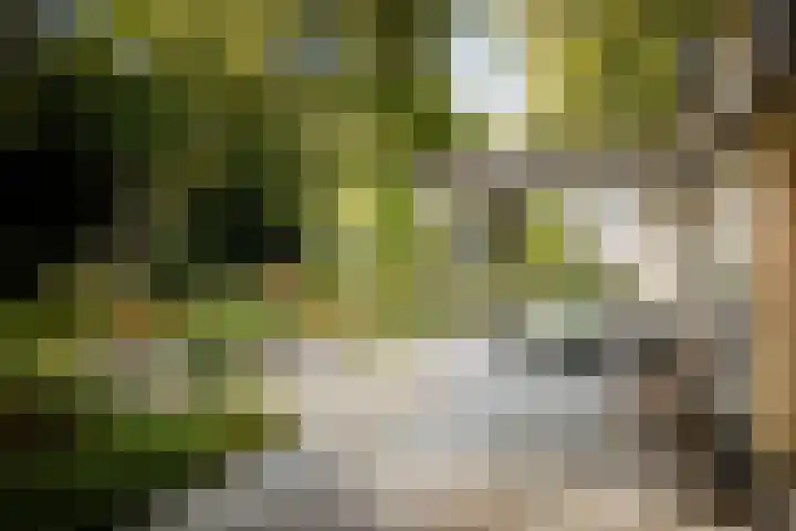Middenweg 10 Epse thumbnail 31