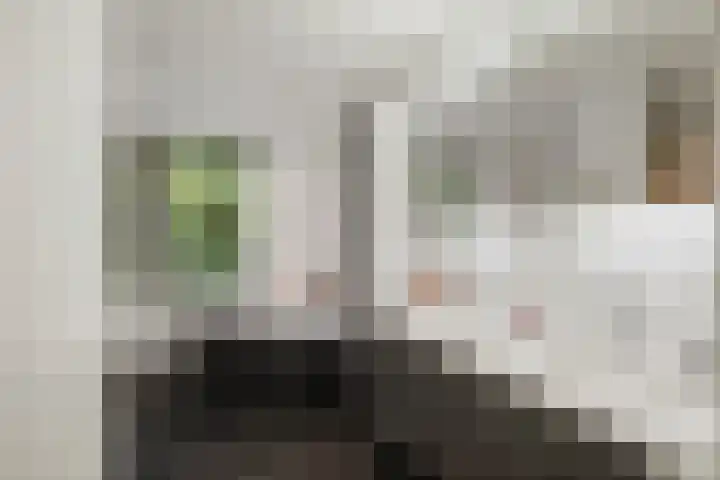 Middenweg 10 Epse thumbnail 57