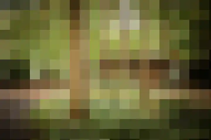 Middenweg 10 Epse thumbnail 62