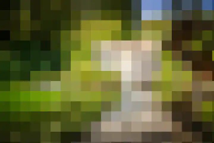 Middenweg 10 Epse thumbnail 64