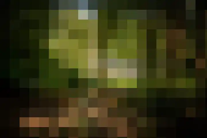 Middenweg 10 Epse thumbnail 66