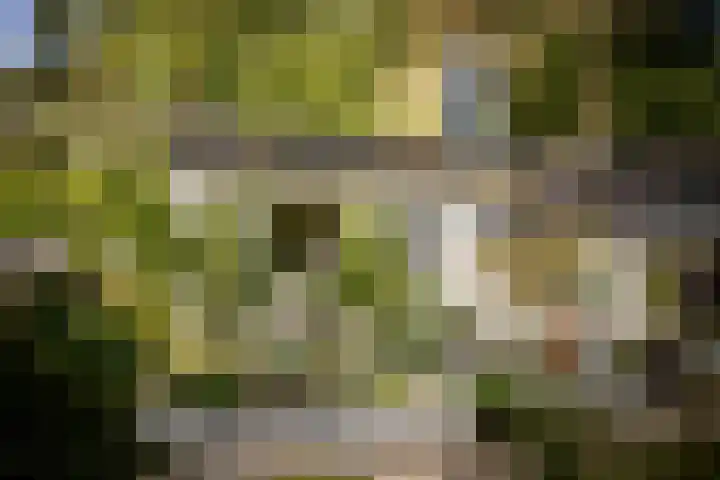 Middenweg 10 Epse thumbnail 7