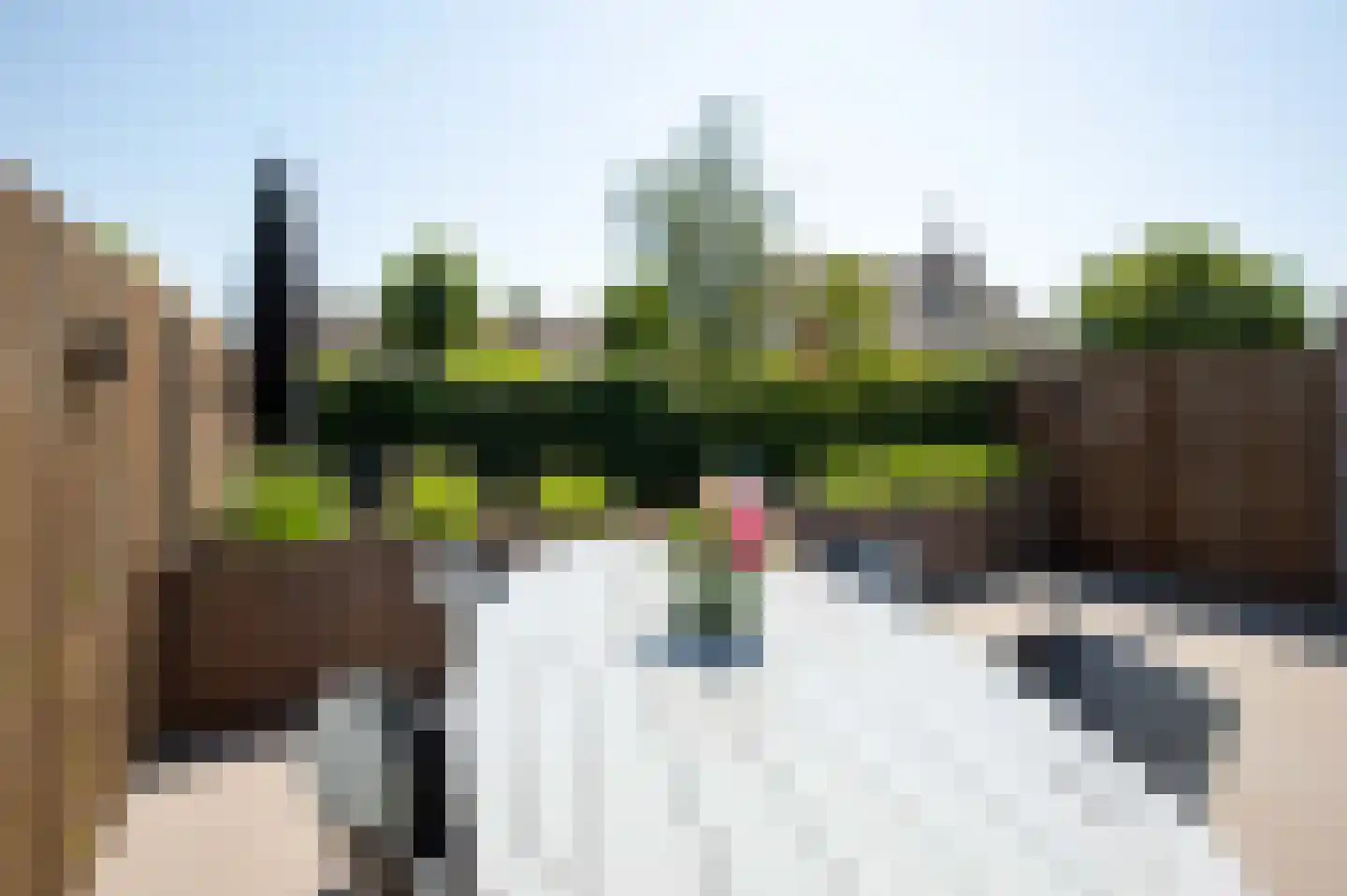 Middenweg 100 Ouderkerk aan de Amstel thumbnail 20