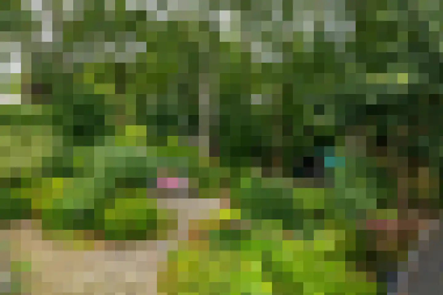 Middenweg 107 Annen thumbnail 25
