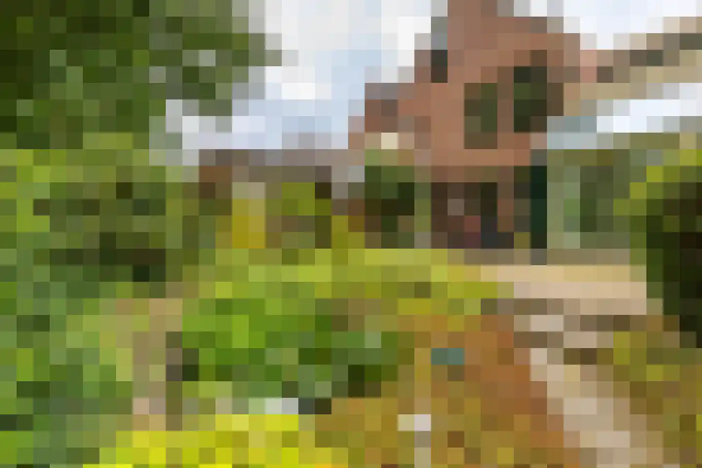 Middenweg 107 Annen thumbnail 48