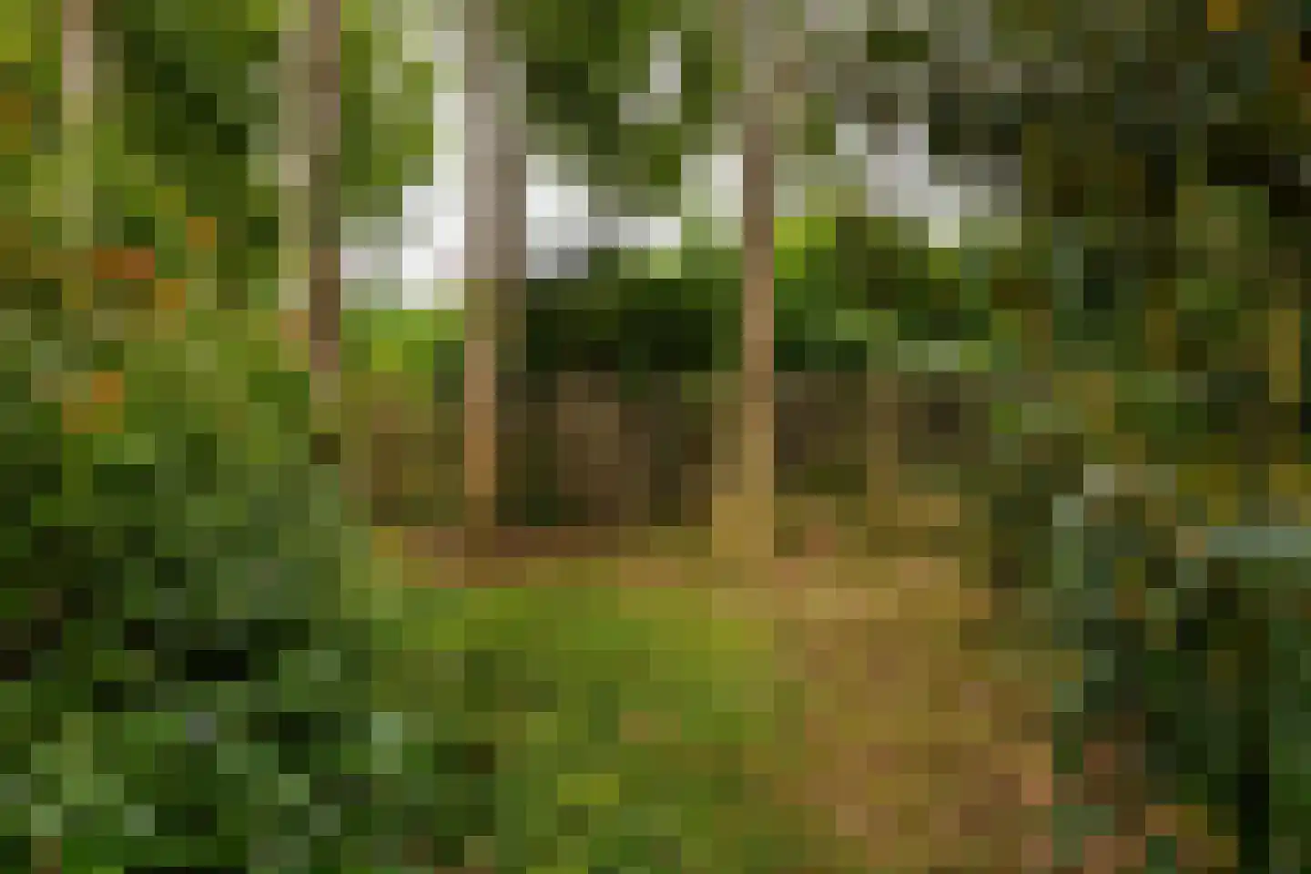 Middenweg 107 Annen thumbnail 53