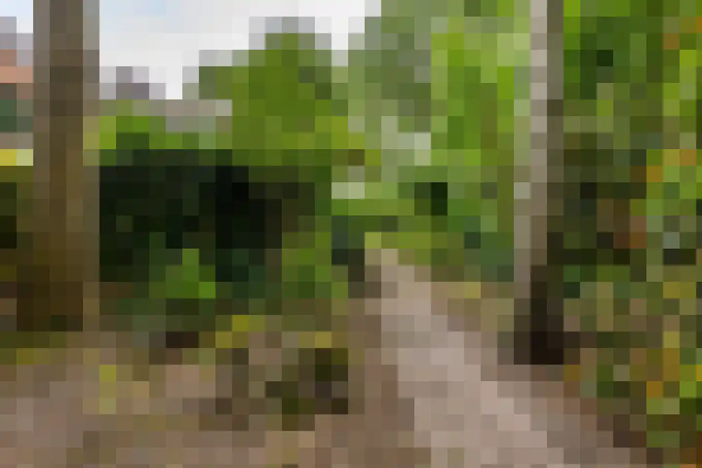 Middenweg 107 Annen thumbnail 54