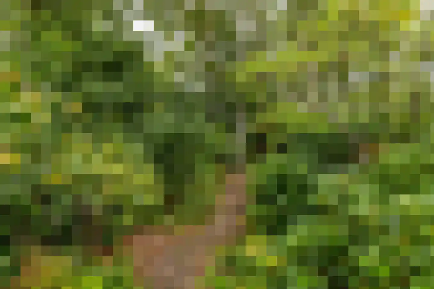 Middenweg 107 Annen thumbnail 55