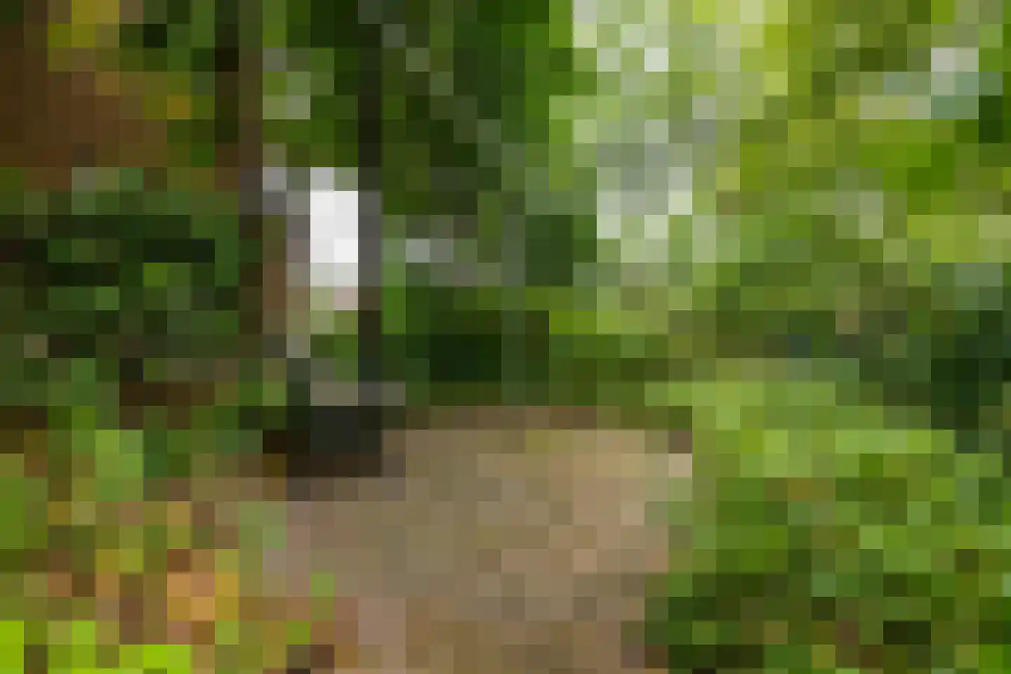 Middenweg 107 Annen thumbnail 56