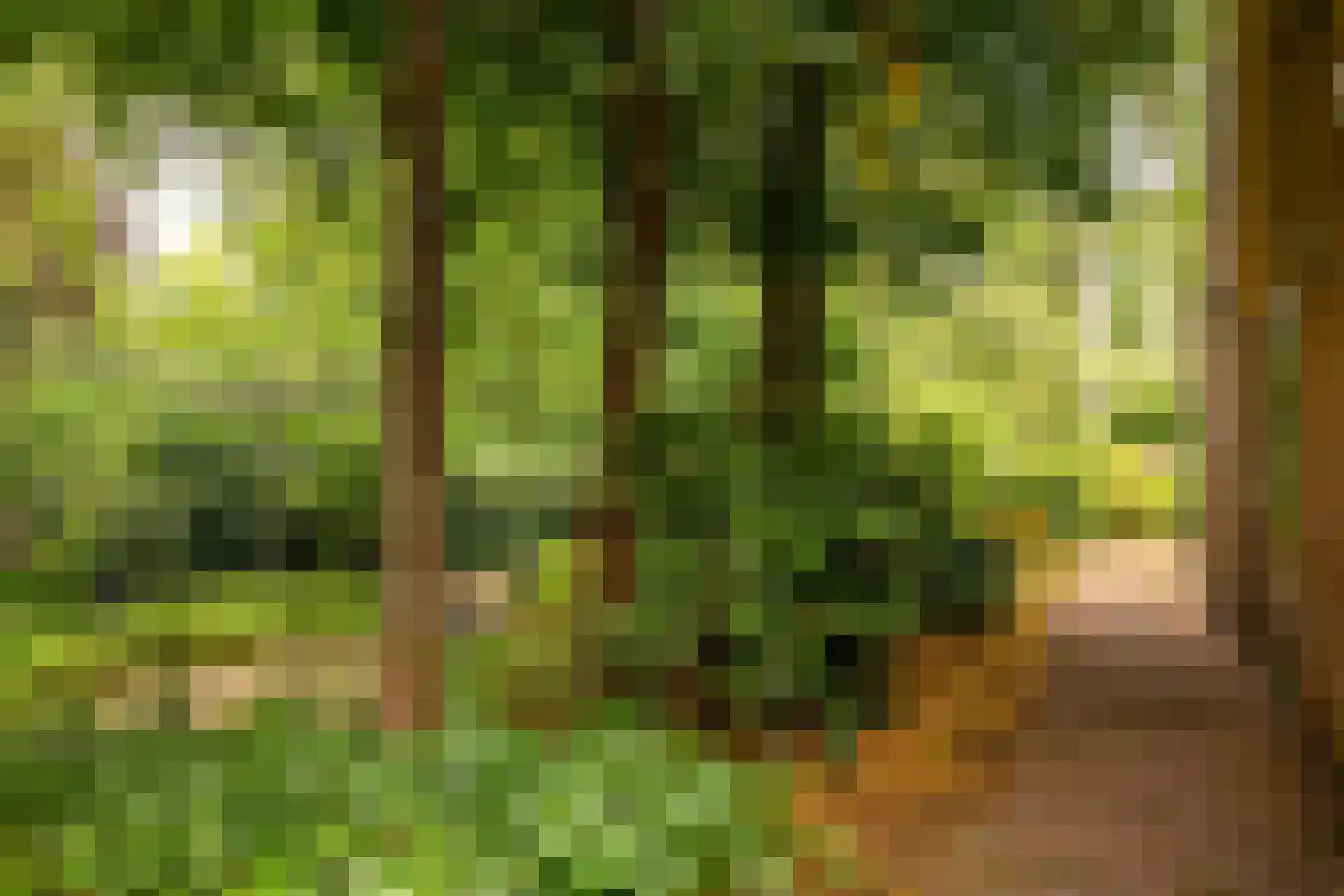 Middenweg 107 Annen thumbnail 57
