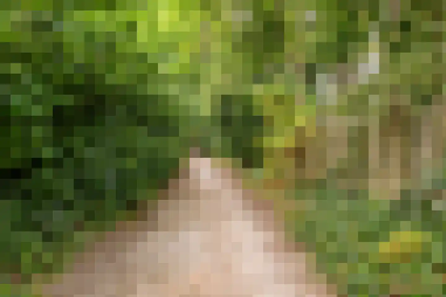 Middenweg 107 Annen thumbnail 58