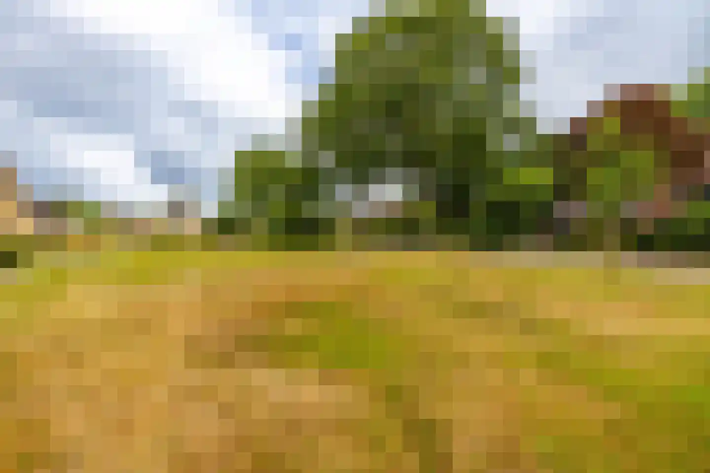 Middenweg 107 Annen thumbnail 59