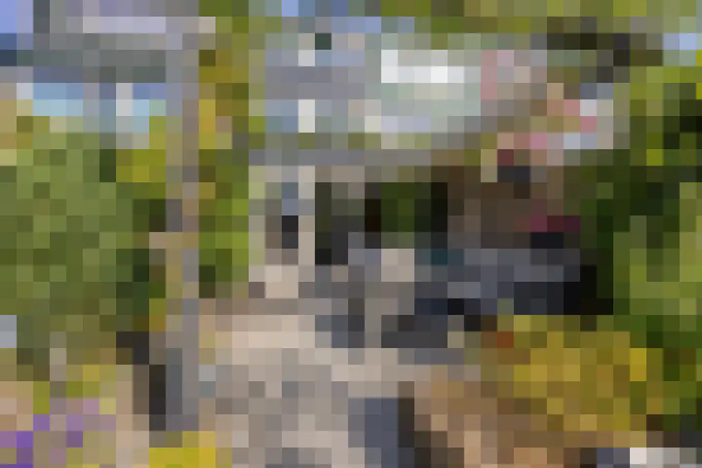 Middenweg 108 Heerhugowaard thumbnail 42