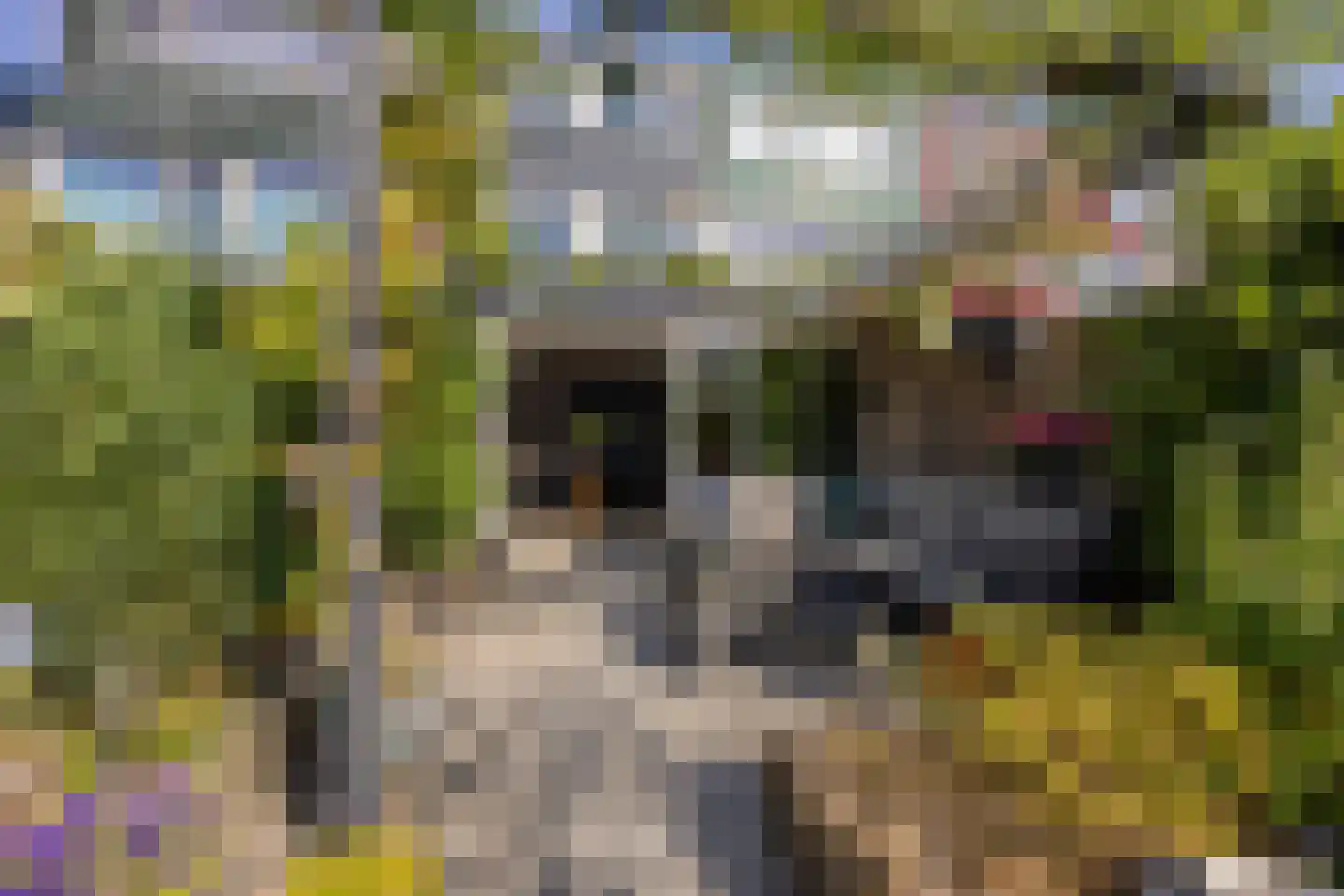 Middenweg 108 Heerhugowaard thumbnail 43
