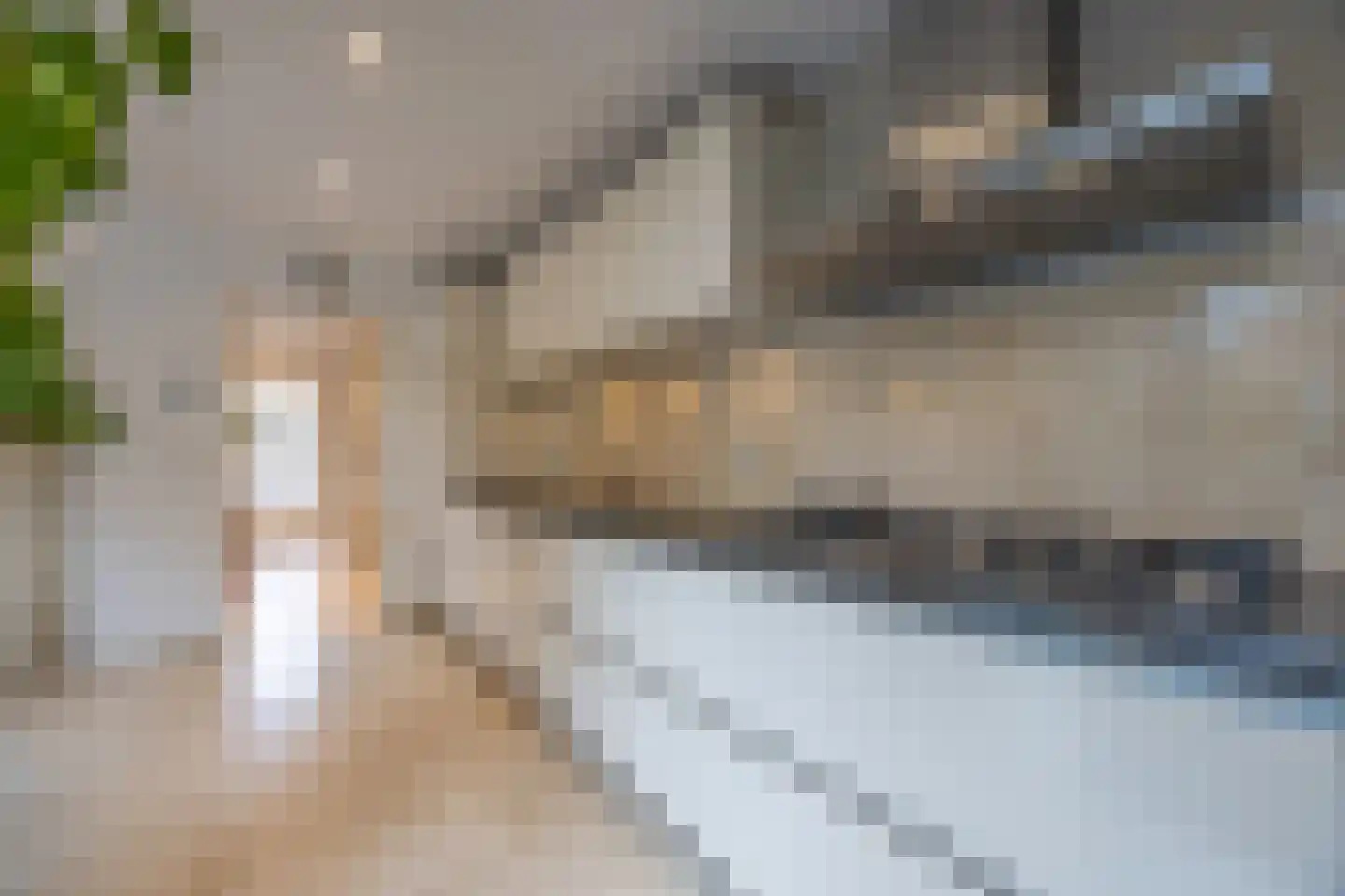 Middenweg 11 Blaricum thumbnail 16