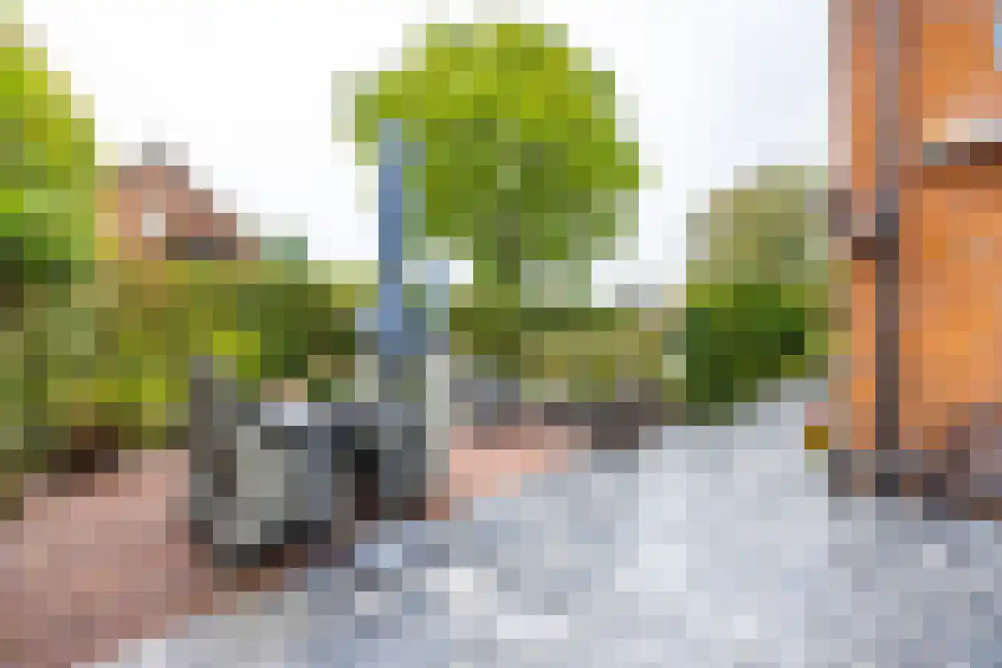 Middenweg 11 Blaricum thumbnail 19