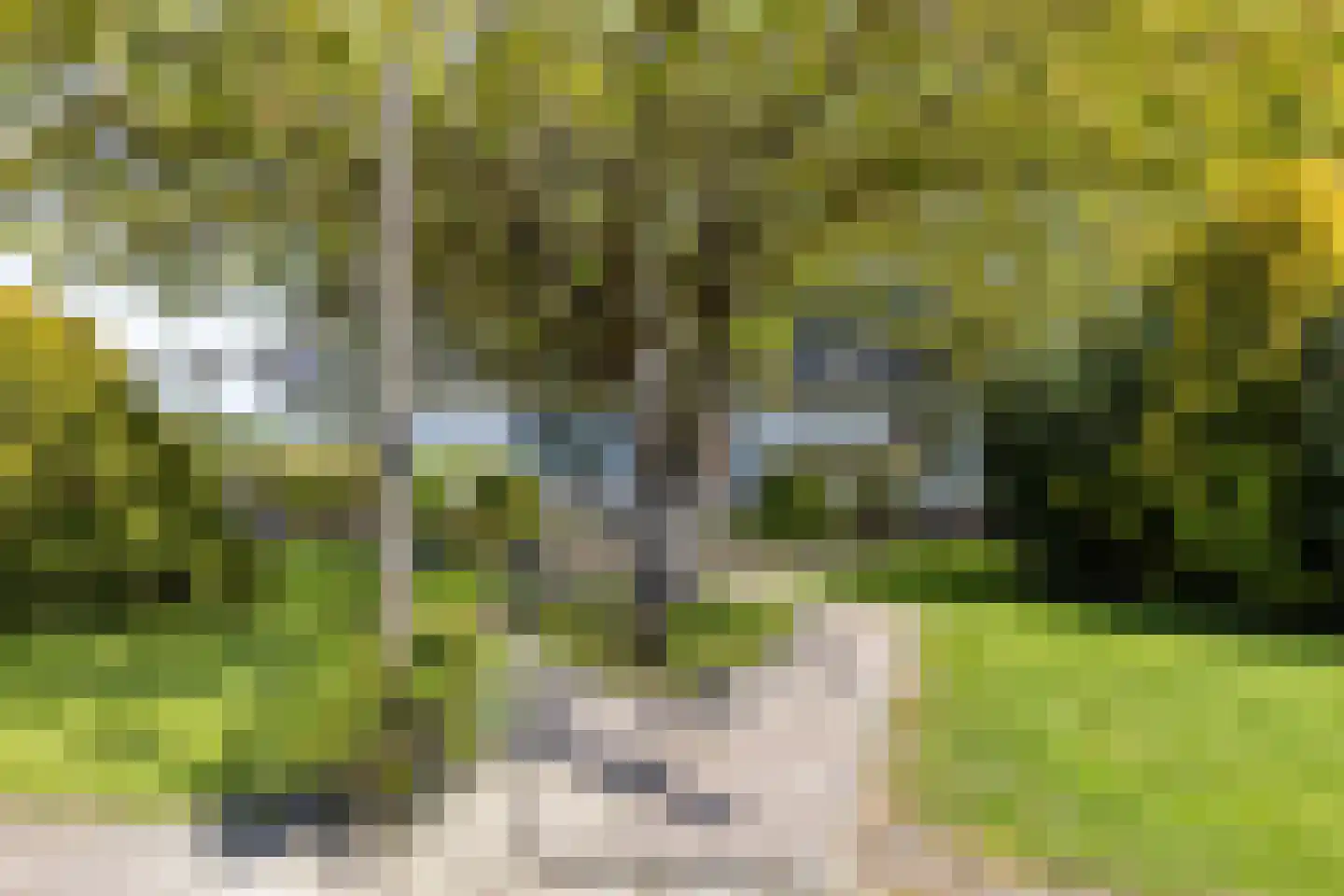 Middenweg 11 Nieuwerkerk thumbnail 36