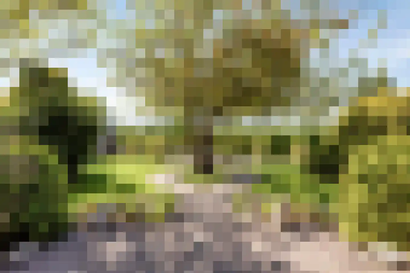 Middenweg 11 Nieuwerkerk thumbnail 37