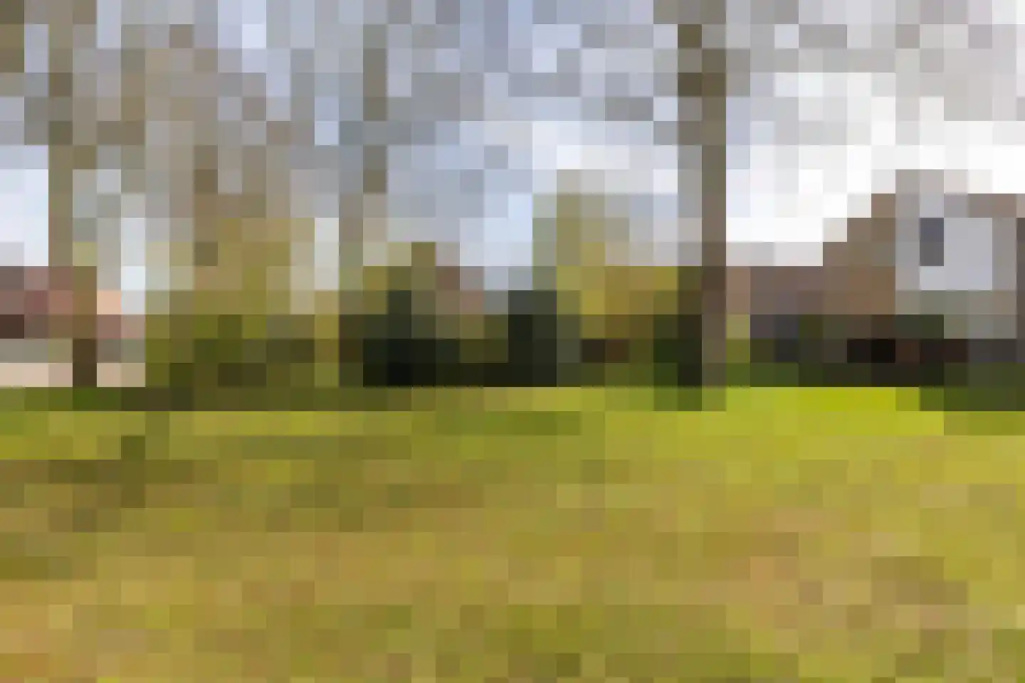 Middenweg 118 Annen thumbnail 6