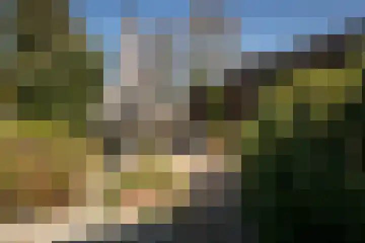 Middenweg 123 Bovenkarspel thumbnail 30