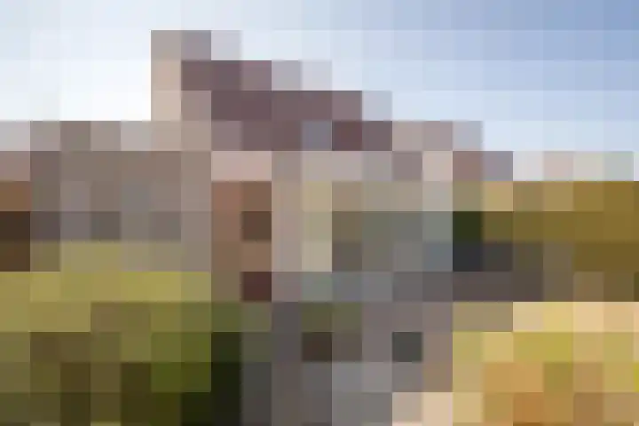 Middenweg 123 Bovenkarspel thumbnail 33