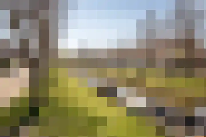 Middenweg 123 Bovenkarspel thumbnail 42