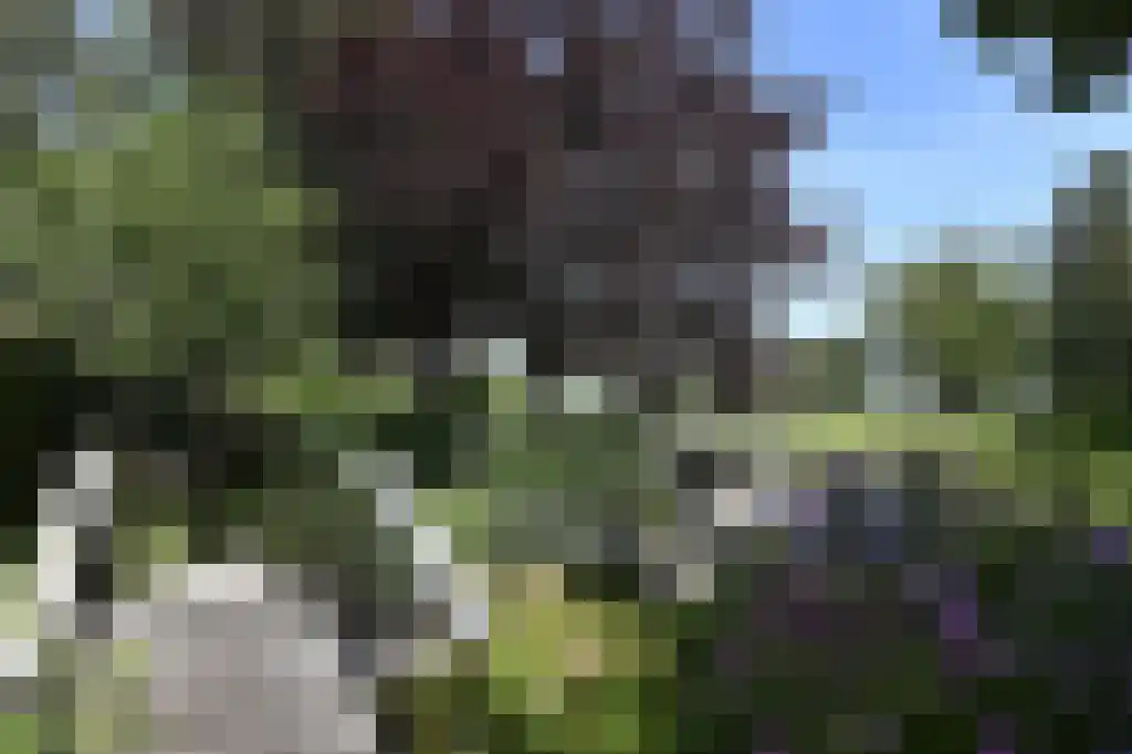 Middenweg 123 Nederhorst den Berg thumbnail 37