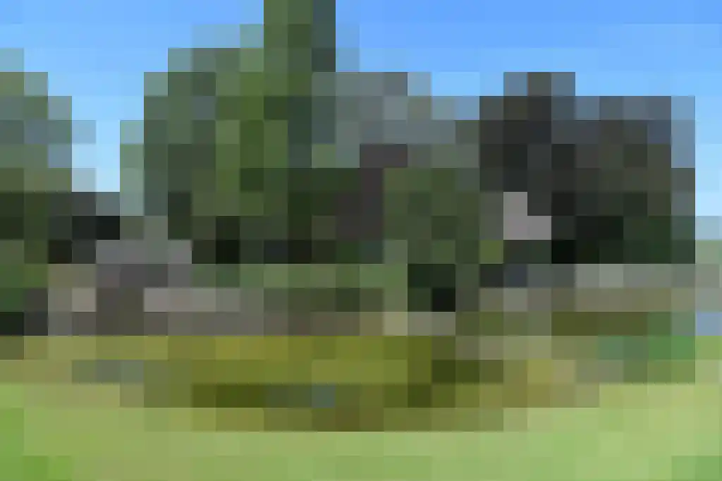 Middenweg 123 Nederhorst den Berg thumbnail 38