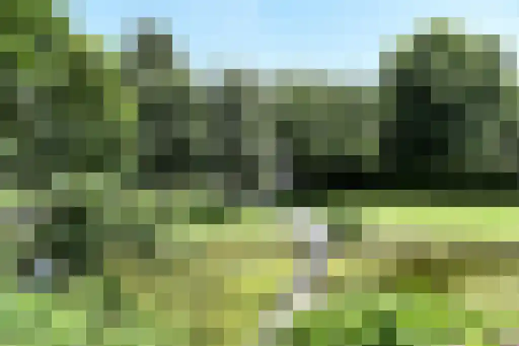 Middenweg 123 Nederhorst den Berg thumbnail 41