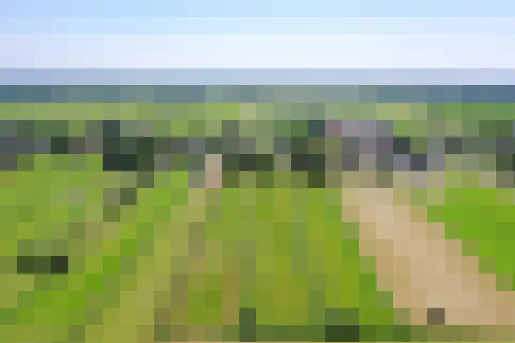 Middenweg 123 Nederhorst den Berg thumbnail 44