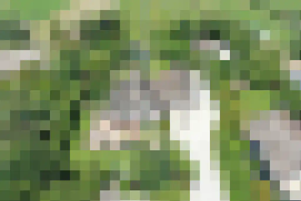 Middenweg 123 Nederhorst den Berg thumbnail 5
