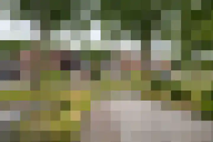 Middenweg 124 Annen thumbnail 4