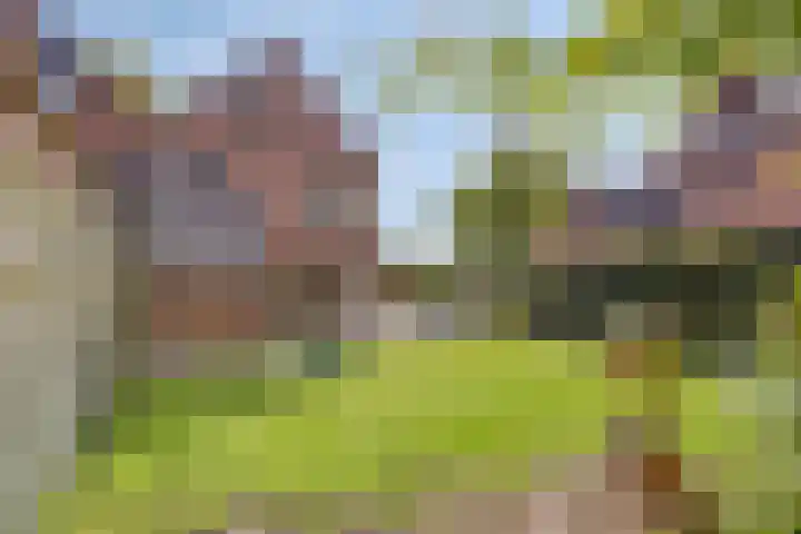 Middenweg 139 Annen thumbnail 32