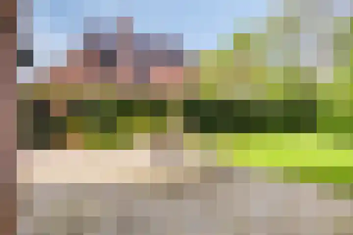 Middenweg 139 Annen thumbnail 34